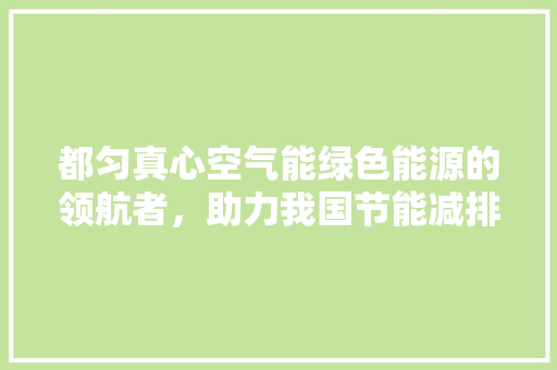 都匀真心空气能绿色能源的领航者，助力我国节能减排事业