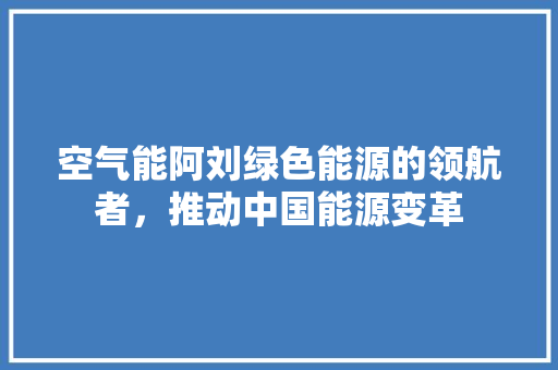 空气能阿刘绿色能源的领航者，推动中国能源变革