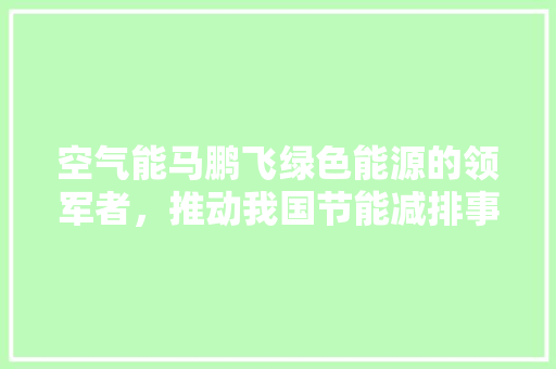 空气能马鹏飞绿色能源的领军者，推动我国节能减排事业