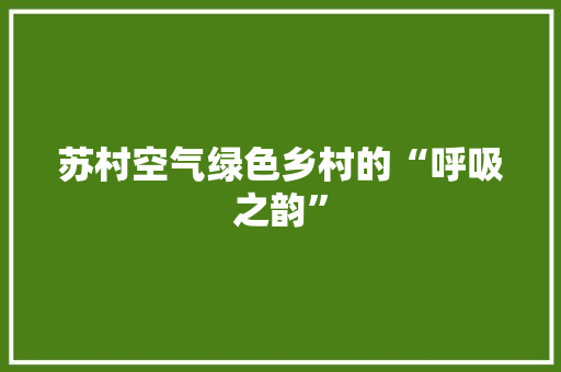 苏村空气绿色乡村的“呼吸之韵” 家电维修