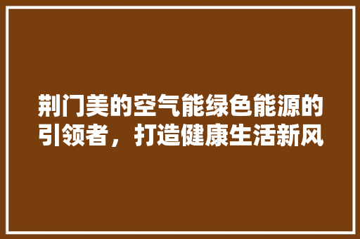 荆门美的空气能绿色能源的引领者，打造健康生活新风尚