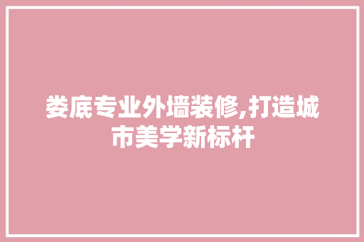 娄底专业外墙装修,打造城市美学新标杆 娄底专业外墙装修,打造城市美学新标杆 厨房维修