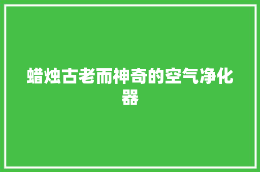 蜡烛古老而神奇的空气净化器 综合便民