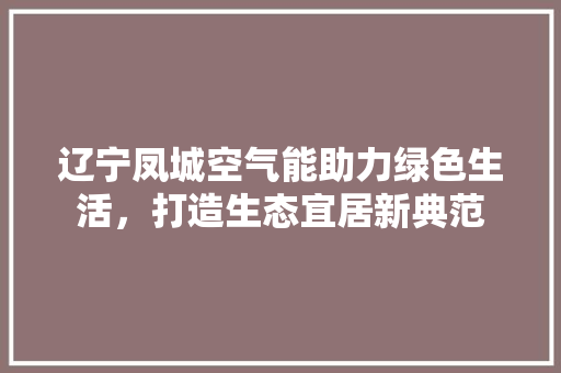 辽宁凤城空气能助力绿色生活，打造生态宜居新典范