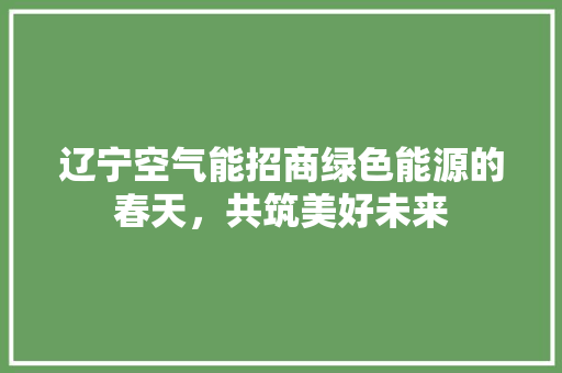辽宁空气能招商绿色能源的春天，共筑美好未来