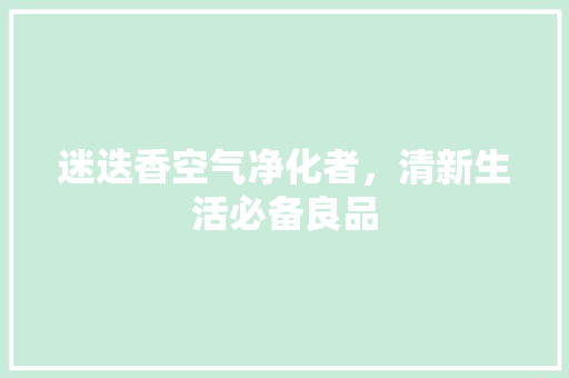 迷迭香空气净化者，清新生活必备良品 家电维修