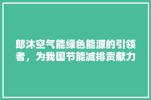 郎沐空气能绿色能源的引领者，为我国节能减排贡献力量