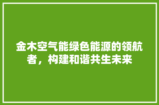 金木空气能绿色能源的领航者，构建和谐共生未来 墙体维修