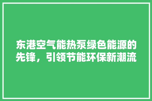 东港空气能热泵绿色能源的先锋，引领节能环保新潮流