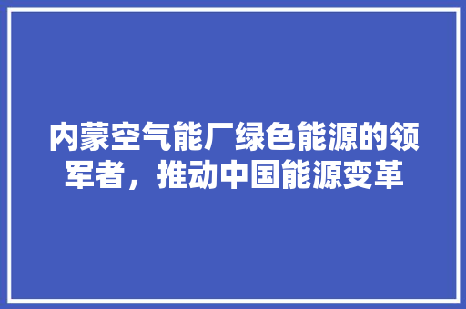 内蒙空气能厂绿色能源的领军者，推动中国能源变革