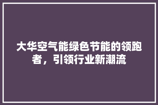 大华空气能绿色节能的领跑者，引领行业新潮流