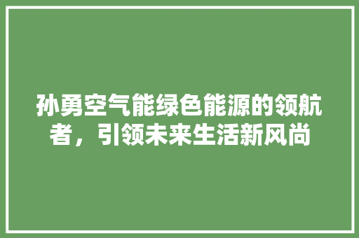 孙勇空气能绿色能源的领航者，引领未来生活新风尚