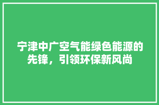宁津中广空气能绿色能源的先锋，引领环保新风尚