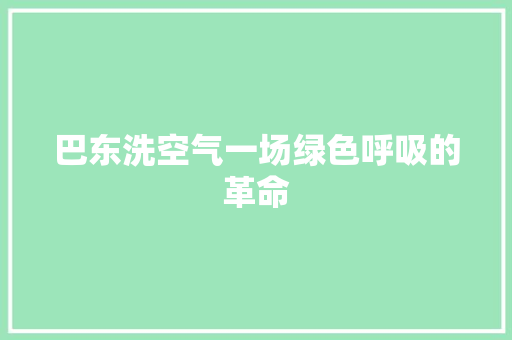 巴东洗空气一场绿色呼吸的革命