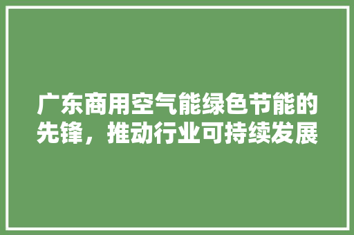 广东商用空气能绿色节能的先锋，推动行业可持续发展的新动力 厨房维修
