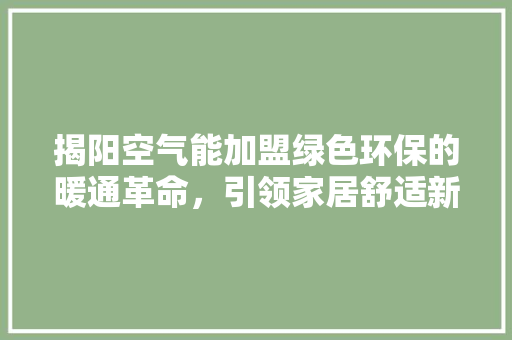 揭阳空气能加盟绿色环保的暖通革命，引领家居舒适新潮流 家电维修