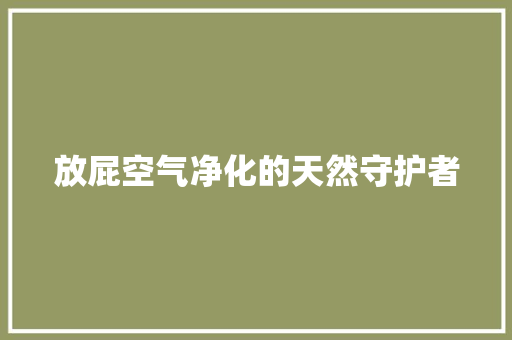 放屁空气净化的天然守护者 厨房维修