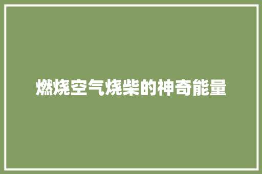 燃烧空气烧柴的神奇能量