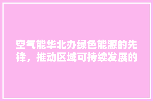 空气能华北办绿色能源的先锋，推动区域可持续发展的新引擎 厨房维修