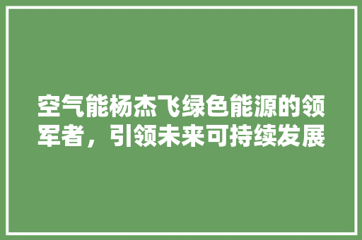 空气能杨杰飞绿色能源的领军者，引领未来可持续发展之路