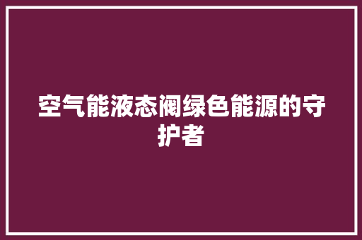 空气能液态阀绿色能源的守护者