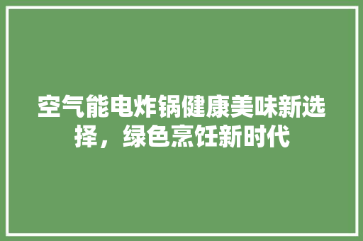 空气能电炸锅健康美味新选择，绿色烹饪新时代