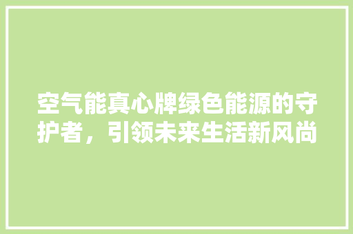 空气能真心牌绿色能源的守护者，引领未来生活新风尚