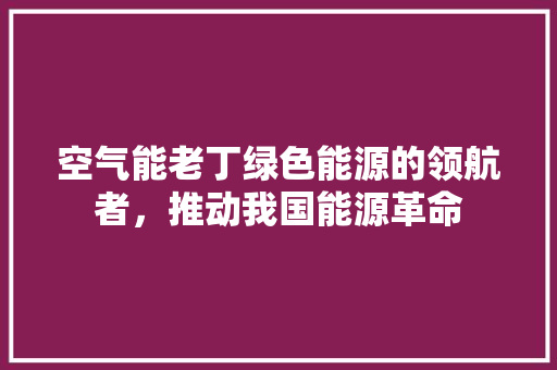 空气能老丁绿色能源的领航者，推动我国能源革命