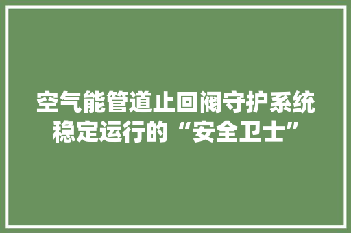 空气能管道止回阀守护系统稳定运行的“安全卫士” 综合便民