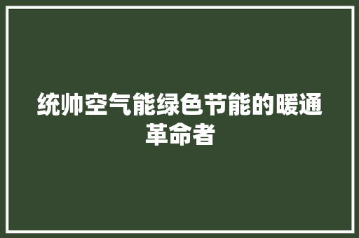 统帅空气能绿色节能的暖通革命者