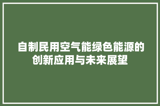 自制民用空气能绿色能源的创新应用与未来展望 家电维修