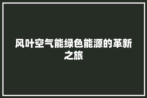 风叶空气能绿色能源的革新之旅