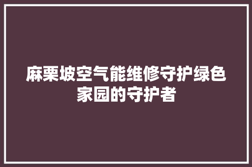 麻栗坡空气能维修守护绿色家园的守护者 墙体维修