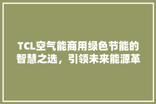 TCL空气能商用绿色节能的智慧之选，引领未来能源革命 厨房维修