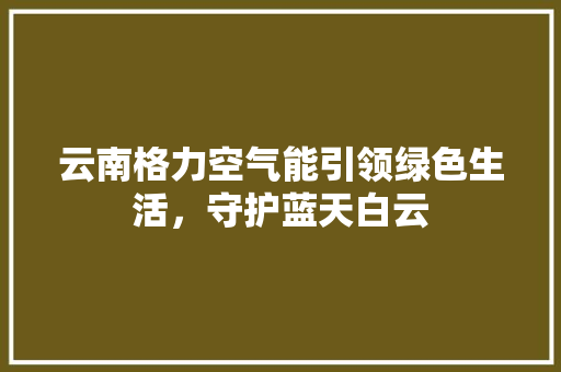 云南格力空气能引领绿色生活，守护蓝天白云 家电维修