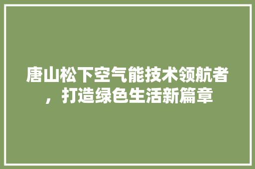 唐山松下空气能技术领航者，打造绿色生活新篇章