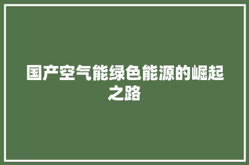 国产空气能绿色能源的崛起之路 汽车维修