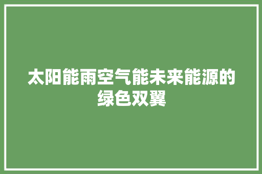 太阳能雨空气能未来能源的绿色双翼