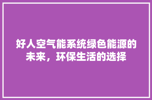好人空气能系统绿色能源的未来，环保生活的选择