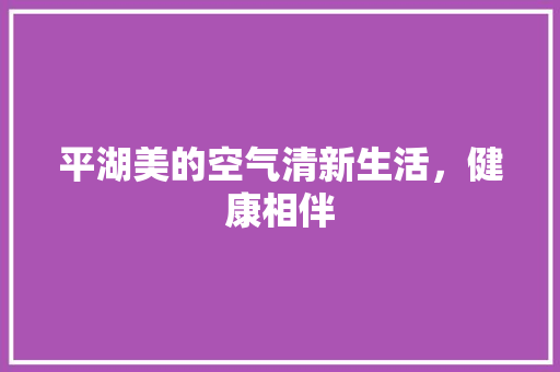 平湖美的空气清新生活，健康相伴 汽车维修