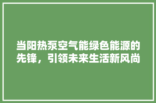 当阳热泵空气能绿色能源的先锋，引领未来生活新风尚 墙体维修