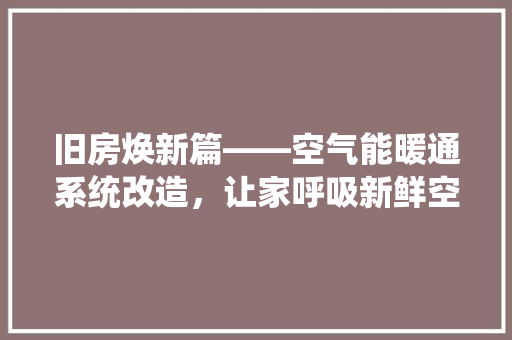 旧房焕新篇——空气能暖通系统改造，让家呼吸新鲜空气 厨房维修