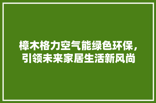 樟木格力空气能绿色环保，引领未来家居生活新风尚 墙体维修
