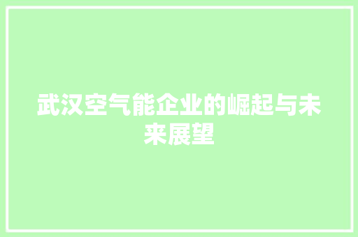 武汉空气能企业的崛起与未来展望 家电维修