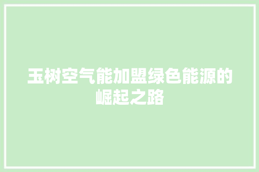 玉树空气能加盟绿色能源的崛起之路 家电维修
