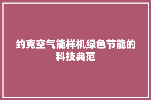 约克空气能样机绿色节能的科技典范