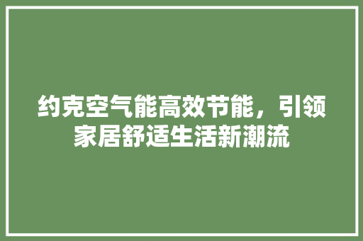 约克空气能高效节能，引领家居舒适生活新潮流