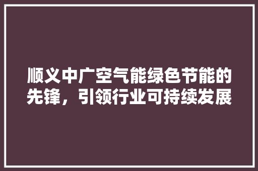 顺义中广空气能绿色节能的先锋，引领行业可持续发展 家电维修