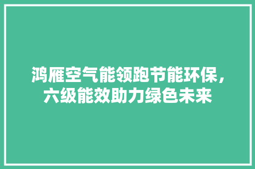 鸿雁空气能领跑节能环保，六级能效助力绿色未来