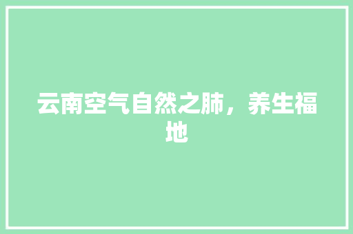 云南空气自然之肺，养生福地 汽车维修